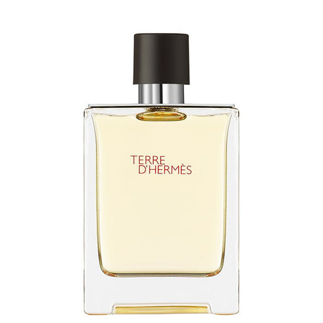 Hermes Terre D'Hermès Eau De Toilette 100ml Spray