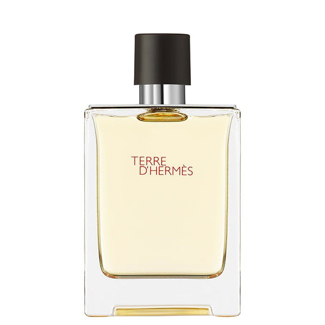 Hermes Terre D'Hermès Eau De Toilette 100ml Spray